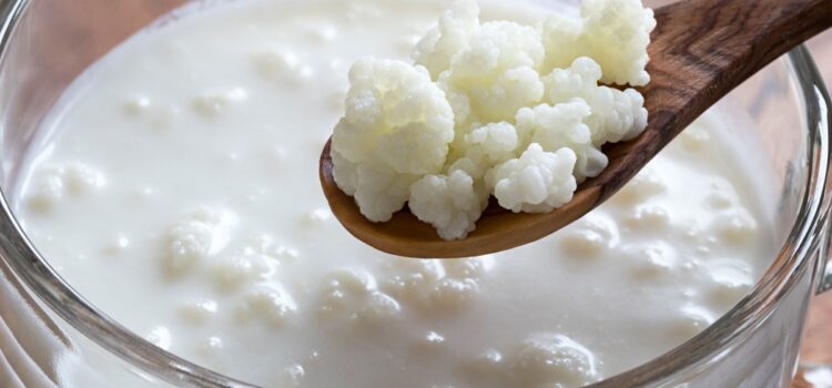 emagreca-com-saude-receitas-deliciosas-com-kefir-para-perder-peso