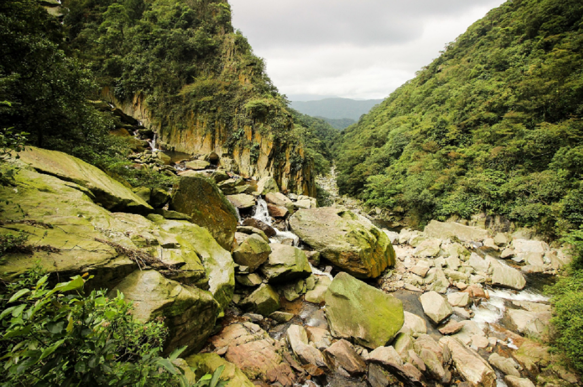 Trilha de pedras em meio à vegetação na Chapada Diamantina, caminho para chegar à Cachoeira da Fumaça